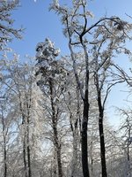 IMG_0919.jpeg