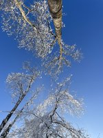 IMG_0924.jpeg