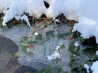 IMG_0933.jpeg