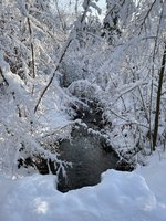 IMG_0949.jpeg