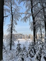 IMG_0965.jpeg