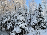 IMG_0966.jpeg