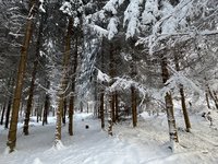 IMG_0968.jpeg
