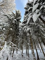 IMG_0973.jpeg