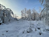IMG_0977.jpeg