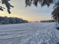 IMG_0992.jpeg