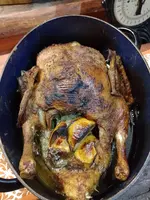 IMG_20231203_173348.jpg