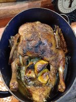 IMG_20231203_173348.jpg