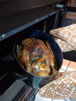 IMG_20231203_173302.jpg