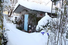 Dezember   4023.jpg