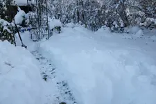 Dezember   4123.webp