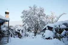 Dezember   4323.webp