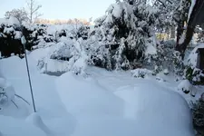 Dezember   4423.webp