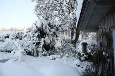 Dezember   4523.webp