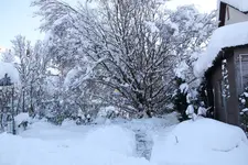 Dezember   4923.webp