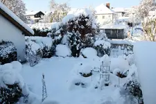 Dezember   5323.webp