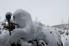 Dezember   5923.jpg