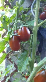 IMG-20230916-WA0011.webp