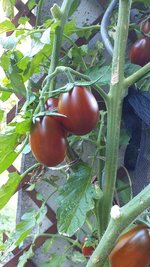 IMG-20230916-WA0011.jpeg