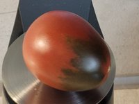 20231204_220004.jpg