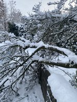 IMG_9035.jpeg