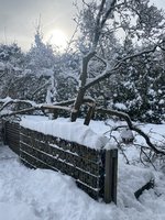 IMG_9032.jpeg
