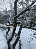 IMG_9036.jpeg