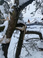 IMG_9034.jpeg
