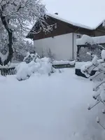 2023-12-02_15-06-23_IMG_9325.webp 2023-12-02_15-06-23_IMG_9325.webp