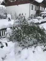 2023-12-02_15-09-21_IMG_9326.webp 2023-12-02_15-09-21_IMG_9326.webp