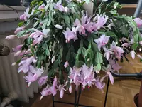 20231202_085846.webp