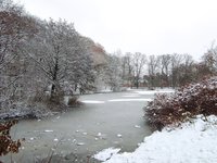 IMG_20231205_125925.jpg