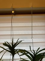 Orchideen aufhängen_05.jpg