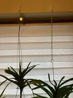 Orchideen aufhängen_05.jpg