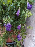 PXL_20231207_103916628.jpg