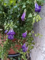 PXL_20231207_103916628.webp
