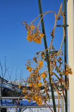 20231207_135054.webp