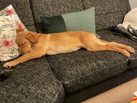 IMG_0249.jpeg