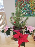 20231209_090637.jpg