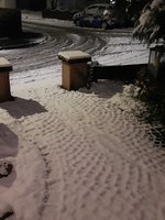 20221205_172630_crop_16.jpg