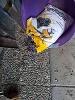 20231211_103323.webp