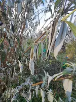 20231211_102329.webp 20231211_102329.webp