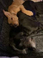 IMG_0278.jpeg