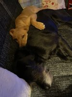 IMG_0280.jpeg
