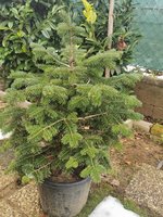 IMG_20231212_125939.jpg