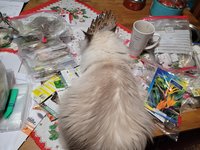 20231212_170240.jpg