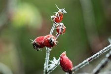 IMG_1969.JPG