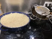 Lasagne_02.webp
