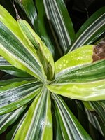 PXL_20231212_202018079.jpg