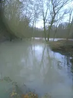 20231213_165006.webp